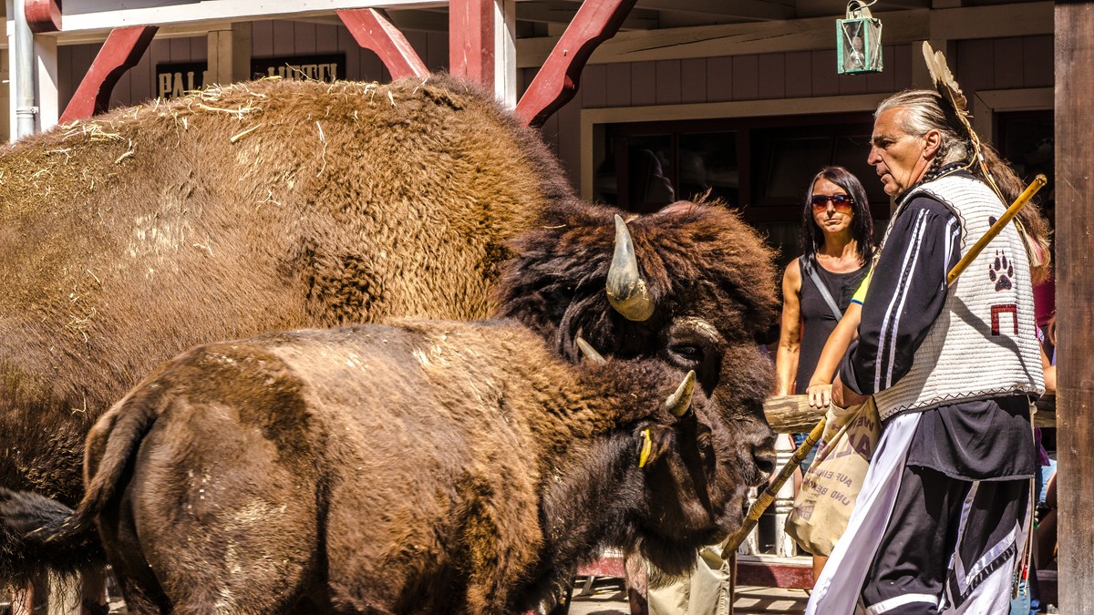 O Fotomagazin / Pullman City 2016